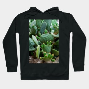 Opuntia, commonly called prickly pear Hoodie